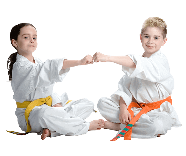 Martial Arts Lessons for Kids in Old Bethpage NY - Kids Greeting Happy Footer Banner
