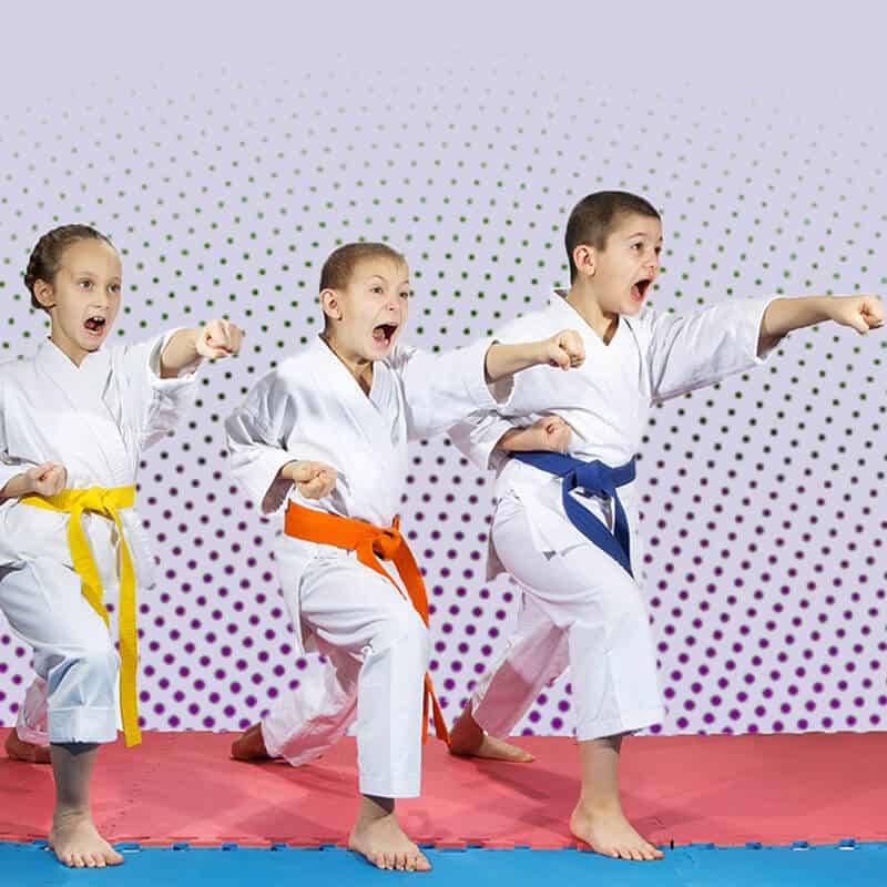 Martial Arts Lessons for Kids in Old Bethpage NY - Punching Focus Kids Sync